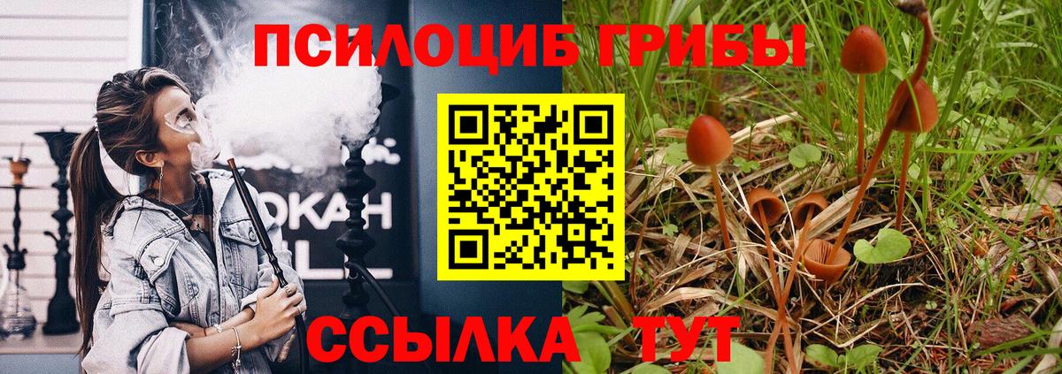 Псилоцибиновые грибы Psilocybe  цена   Саранск  Галлюциногенные грибы ЛСД  Вход с VPN 